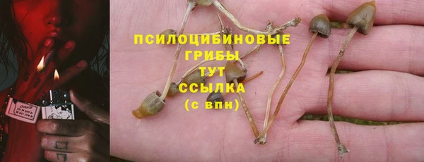 мяу мяу мука Балахна