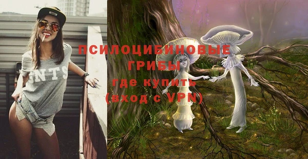 мяу мяу мука Балахна